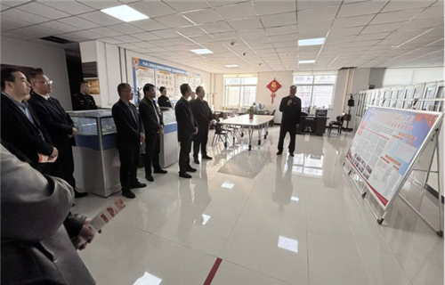 调研公司党建工作